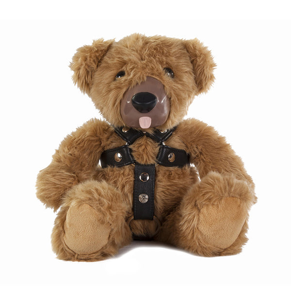 Teddy Love BDSM Bear