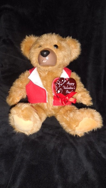 Teddy Love Valentines Day Bear